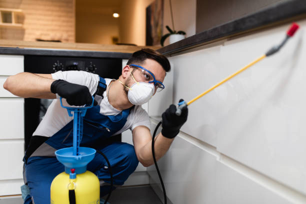 Best Wasp Removal Services  in Oakland, IA