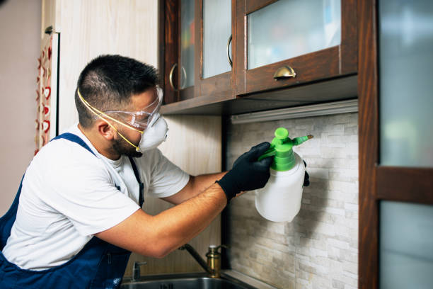 Best Ant Control Services  in Oakland, IA