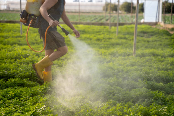 Reliable Oakland, IA Pest Control Solutions