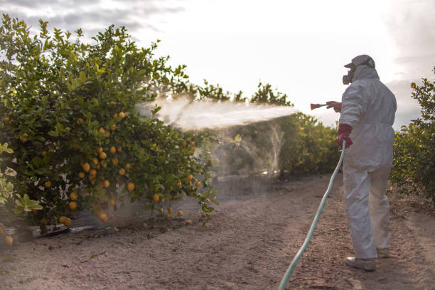 Best Pest Prevention Services  in Oakland, IA