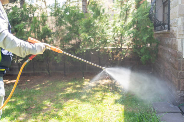 Best Cockroach Control Services  in Oakland, IA
