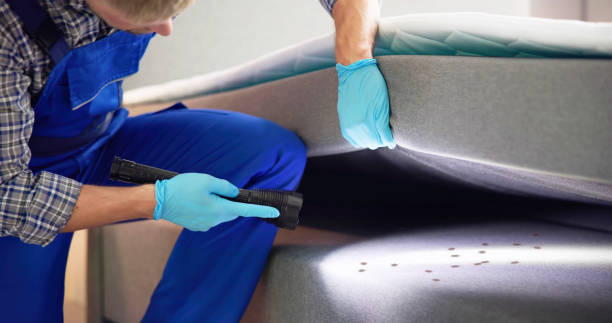 Best Emergency Pest Control  in Oakland, IA