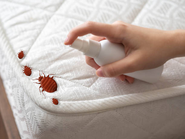Best Affordable Pest Control Services  in Oakland, IA