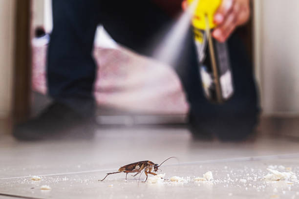Best Termite Control Services  in Oakland, IA