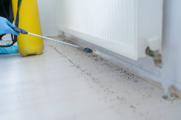Best Pest Prevention Services  in Oakland, IA