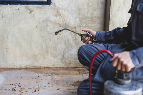 Best Emergency Pest Control  in Oakland, IA