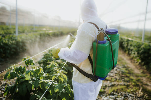Best Pest Inspection Near Me  in Oakland, IA